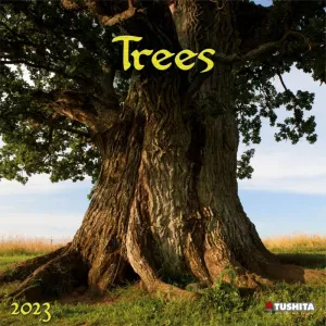 Trees 2023 Wall Calendar #17558