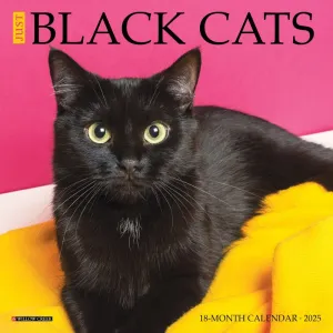 Black Cats 2025 Mini Wall Calendar
