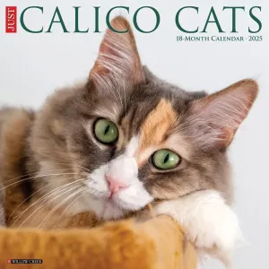 Calico Cats 2025 Wall Calendar