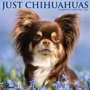 Chihuahuas Just 2025 Wall Calendar
