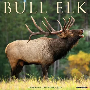 Elk Bull 2025 Wall Calendar