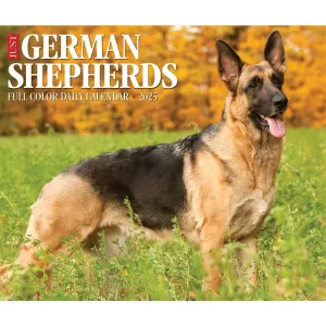 German Shepherds Just 2025 Desk Calendar