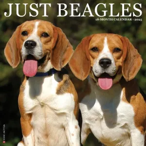 Just Beagles 2025 Wall Calendar