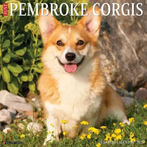 Just Pembrook Corgis 2025 Wall Calendar