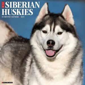 Just Siberian Huskies 2025 Wall Calendar
