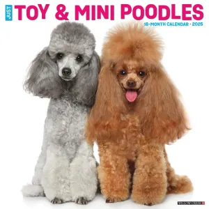 Miniature Toy Poodles 2025 Wall Calendar