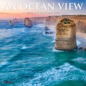 Ocean View 2025 Mini Wall Calendar