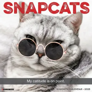 Snapcats 2025 Wall Calendar
