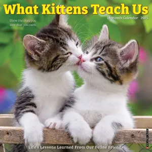 What Kittens Teach Us 2025 Wall Calendar