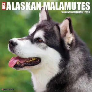 Alaskan Malamutes 2024 Wall Calendar #923519