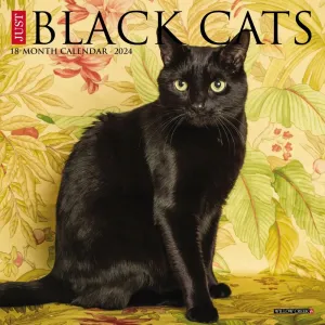 Black Cats 2024 Mini Wall Calendar #923725
