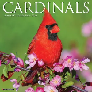 Cardinals 2024 Wall Calendar #923202