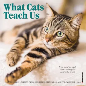 What Cats Teach Us 2024 Mini Wall Calendar