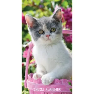 Cute As A Kitten 2 Year 2024 Pocket Planner