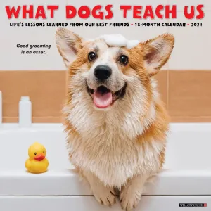 What Dogs Teach Us 2024 Wall Calendar