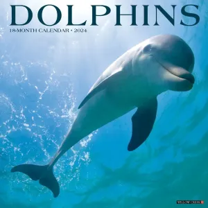 Dolphins 2024 Wall Calendar #923401