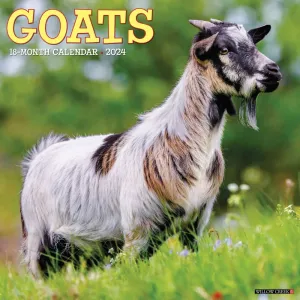 Goats 2024 Wall Calendar #923215