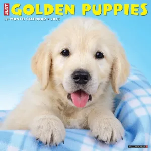 Golden Puppies 2023 Wall Calendar