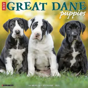 Just Great Dane Puppies 2024 Wall Calendar