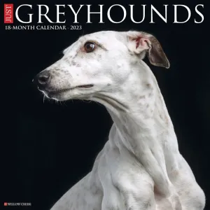Greyhound 2023 Wall Calendar