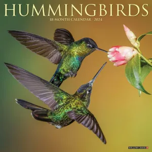 Hummingbirds 2024 Wall Calendar #966645