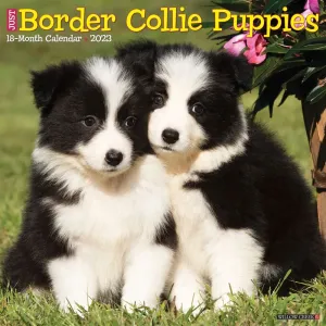 Just Border Collie Puppies  2023 Wall Calendar