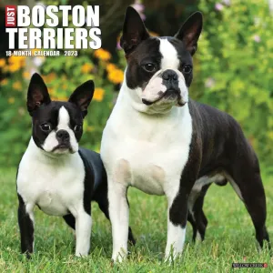 Just Boston Terriers 2023 Wall Calendar