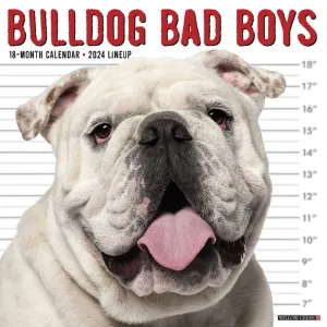 Just Bulldog Bad Boys 2024 Wall Calendar