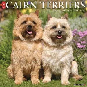 Just Cairn Terriers 2024 Wall Calendar