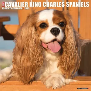 Just Cavalier King Charles 2023 Wall Calendar