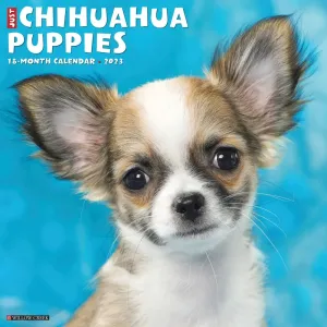 Just Chihuahua Puppies 2023 Wall Calendar