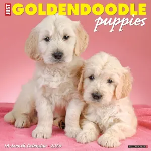 Just Goldendoodle Puppies 2024 Wall Calendar