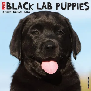 Just Lab Black Puppies 2023 Wall Calendar