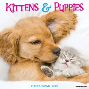 Kittens  and Puppies 2023 Wall Calendar