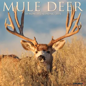Mule Deer 2024 Wall Calendar #923172
