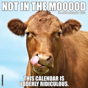 Not In The Mooood 2024 Wall Calendar