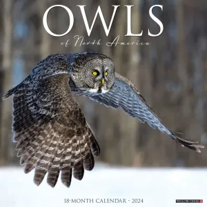 Owls 2024 Wall Calendar #923742