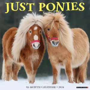 Ponies 2024 Wall Calendar