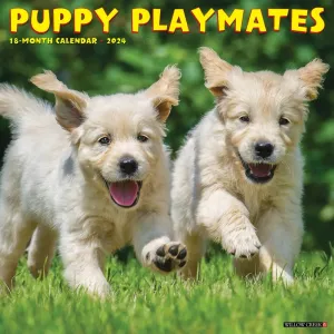 Puppy Playmates 2024 Wall Calendar