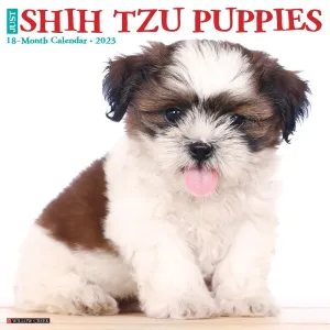 Shih Tzu Puppies 2023 Wall Calendar
