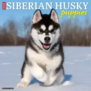 Siberian Husky Puppies Just 2023 Wall Calendar