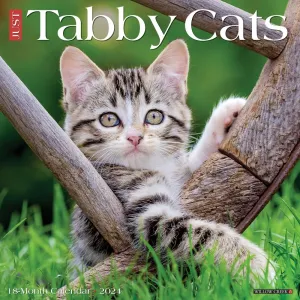 Just Tabby Cats 2024 Wall Calendar