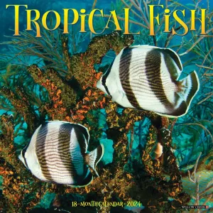 Tropical Fish 2024 Wall Calendar #923421