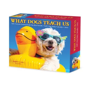 What Dogs Teach Us 2023 Desk Calendar