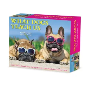 What Dogs Teach Us 2024 Desk Calendar