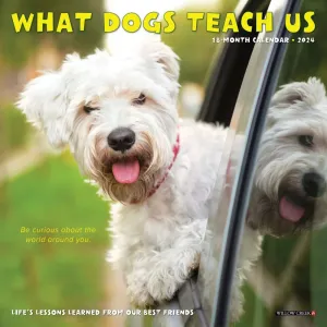 What Dogs Teach Us 2024 Mini Wall Calendar