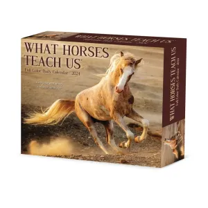What Horses Teach Us 2024 Desk Calendar