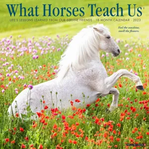 What Horses Teach Us Just 2023 Wall Calendar