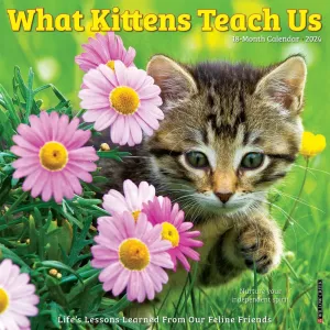 What Kittens Teach Us 2024 Wall Calendar