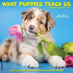 What Puppies Teach Us 2024 Wall Calendar